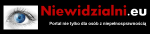 Logo Niewidzialni EU